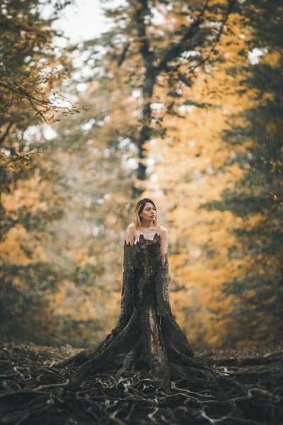 女人站在树桩的森林
